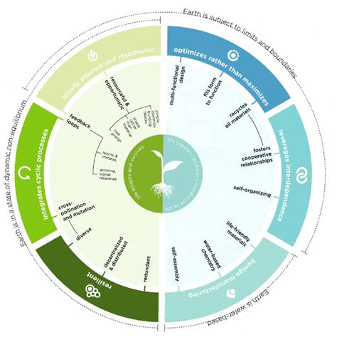 Biomimicry Life's principles circle. © 2010 Biomimicry Guild | Download ...