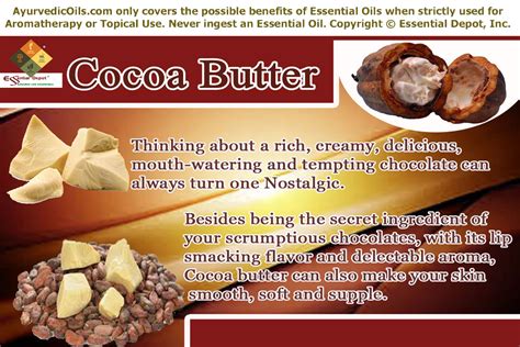 Health benefits of Cocoa butter | Essential Oil