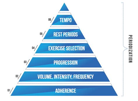 The Muscle and Strength Pyramid Training Summary - 2024