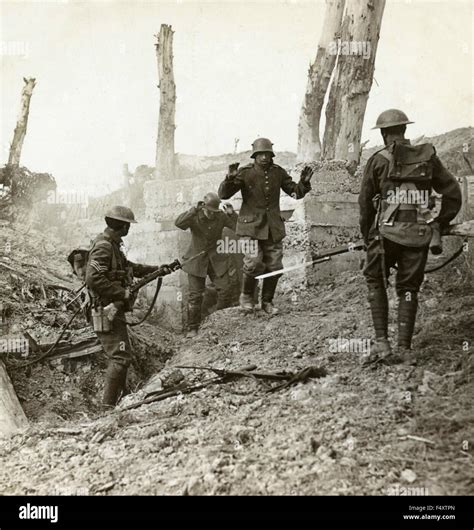 German soldiers surrender to British troops in Pilkam Stock Photo ...