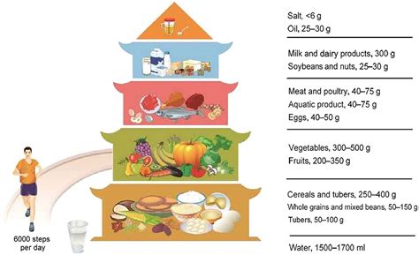 Frontiers | Adherence to the Chinese Food Pagoda in the High-Risk ...