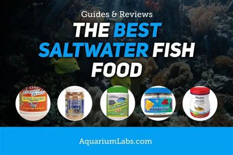 10 Best Saltwater Fish Food [2024 Top Brands & Favorites Reviewed]