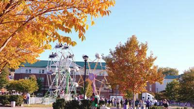 Get ready for a Catamount homecoming | Arts Entertainment ...