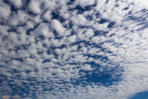 Cirrocumulus Clouds by PeaTree-Creations | Clouds, Cirrus cloud, Nature inspiration