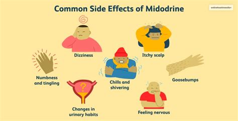 Midodrine 101: Usage, Dosage, Side Effects, And More!