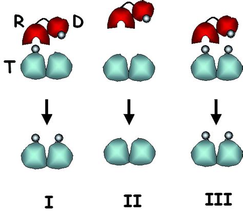 General scheme of epigenetic templating. This mechanism implies two ...