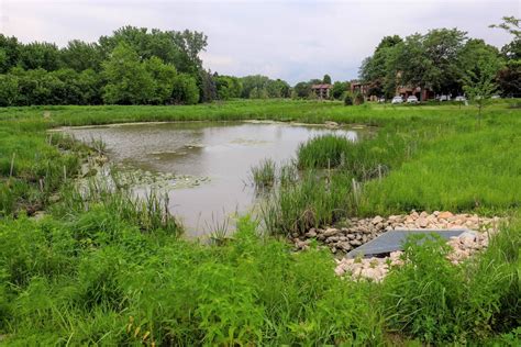 Managing Detention Basins for Healthy Communities - LDP Watersheds