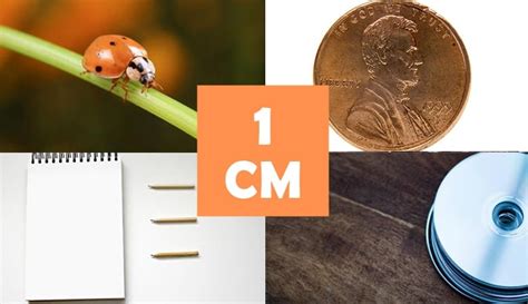 9 Things That Are About 1 Centimeter (cm) Long – dimensionofstuff.com