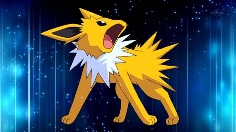 Jolteon (BW137) | Pokémon Wiki | FANDOM powered by Wikia