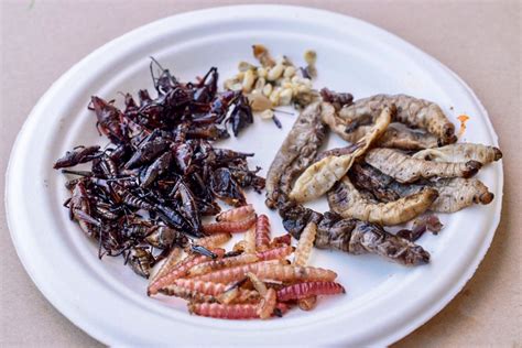 Embracing Entomophagy: Edible Insects in Mexico as Haute Cuisine - A ...