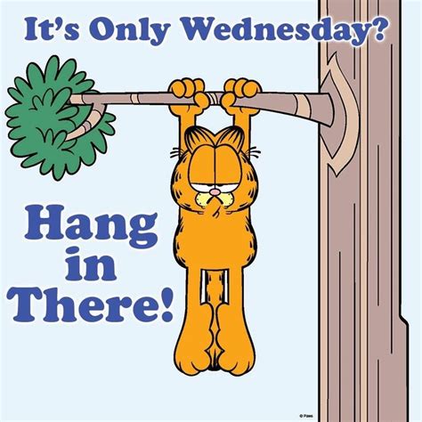 Pin by Ana Muñeca Palma on Garfield | Wednesday quotes, Morning quotes funny, Garfield quotes