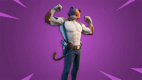 Fortnite: Where to Collect Cat Food in Chapter 2 Season 7