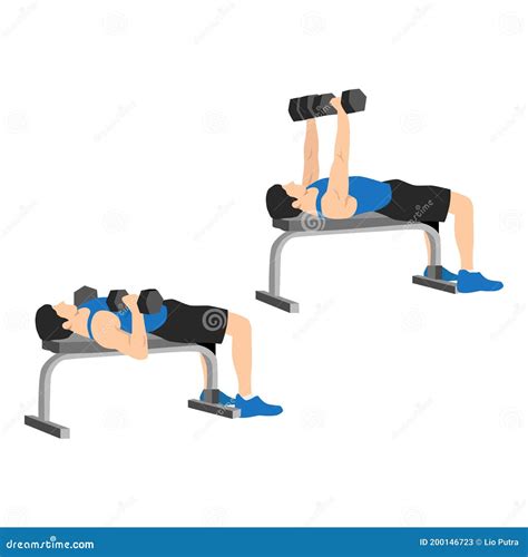 Man Doing Dumbbell Flat Bench Press. Chest Exercise Stock Vector ...