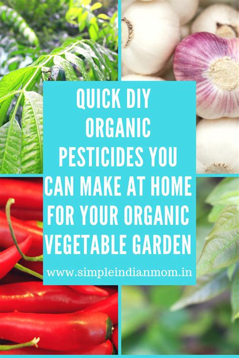 Quick DIY Organic Pesticides You Can Make At Home For Your Organic Vegetable Garden - Simple ...