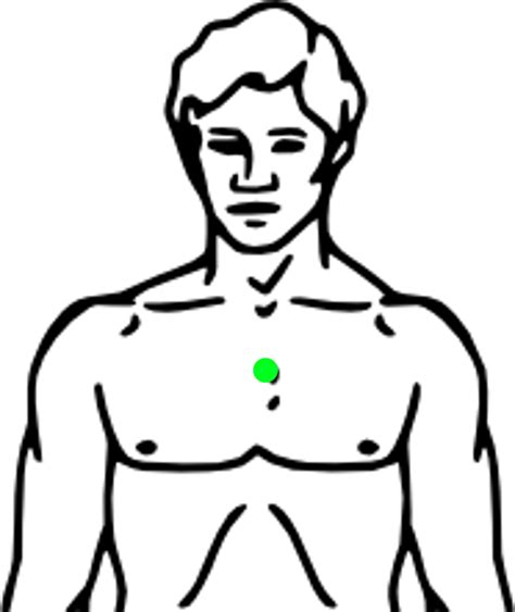 Body Chest Clipart - Free Download | Clipart Library