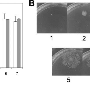 (A and B) Germination of C. perfringens spores over long periods on BHI ...