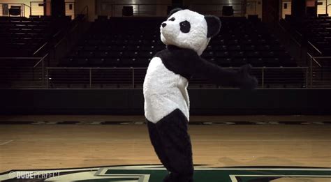 Who Is Panda on 'Dude Perfect'? This Mascot Is Very Mysterious