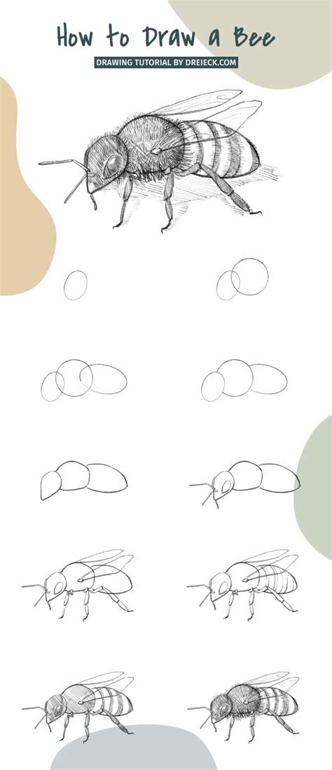 How to Draw a Bee (step by step tutorial) 🐝