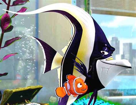 Finding nemo fish names in the tank - westlite