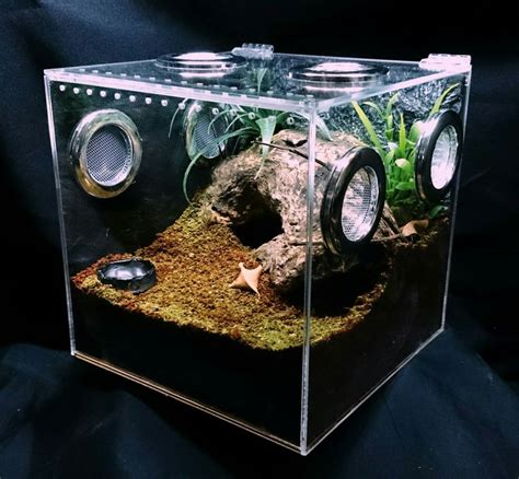 How To Set Up A Tarantula Enclosure Easy Step By Step