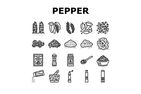 Black Pepper Aromatic Hot Spice Icons Graphic by stockvectorwin ...