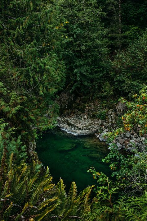 Christopher M Fowler - Tillamook State Forest, OR | September 2016