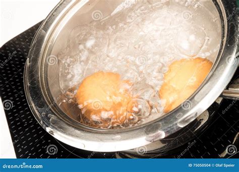 Boiling eggs stock photo. Image of food, closuep, prepare - 75050504