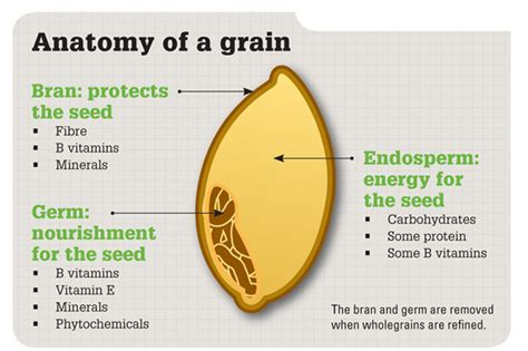 Whole grain | Here's to Food!