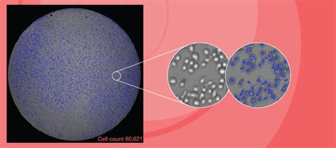 Cell Counting | Nexcelom Bioscience