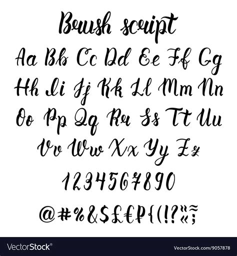 Handwritten latin calligraphy brush script Vector Image