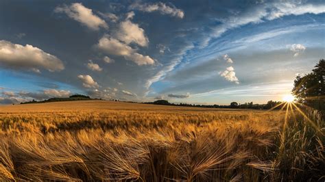 Farm Field Nature 4K Wallpapers - Top Free Farm Field Nature 4K ...