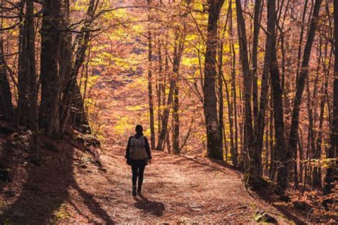 A guide to Italy's Abruzzo National Park - Lonely Planet