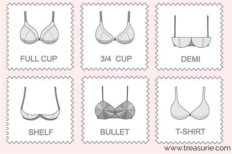 Types Of Bra Chart