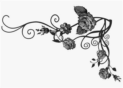 Black And White Photography Clip Art - Black Rose Vine Png PNG Image | Transparent PNG Free ...