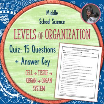 Levels of Organization in the Human Body Quiz: Cell, Tissue, Organ, Organ System