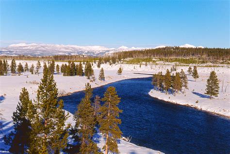 Yellowstone Winter