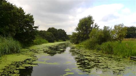 Time Lapse video on Selby Canal from Selby Basin south. September 2013 - YouTube