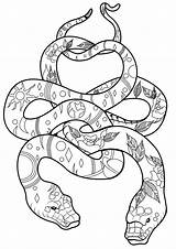 Snake Coloring Pages Sea Print Coral Colouring Zoo Serpent Snakes  sketch template