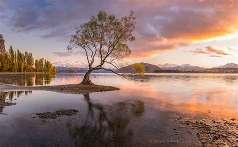 Stunning Sunrise, Lake Wanaka : New Zealand | Sunrise lake, Lake wanaka, Wanaka