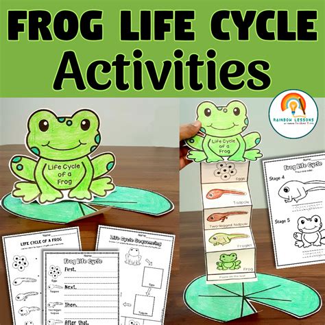 Life Cycle Of Frog Activities | Frog Life Cycle Craft | Kindergarten ...