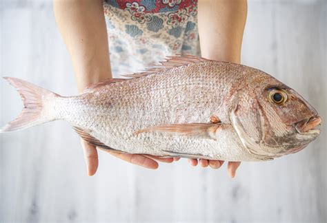 Red Sea Bream : King of Fish — THE SETOUCHI COOKBOOK