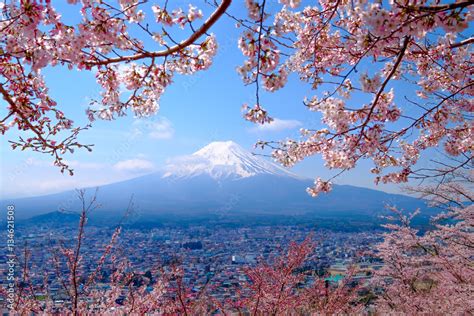 Mt. Fuji with Japanese Cherry Blossoms at Japan Stock Photo | Adobe Stock