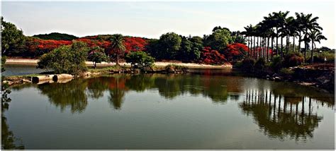 Lalbagh Botanical Gardens, Bangalore - Timings, Entry Fee, Best Time to Visit