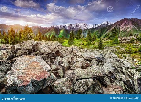 Mountains in Kazakhstan stock image. Image of greenery - 42575353