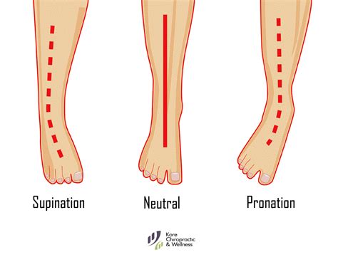 👣 Foot Biomechanics: #Supination, Neutral & #Pronation. | Orthotics, Foot biomechanics, Pronation