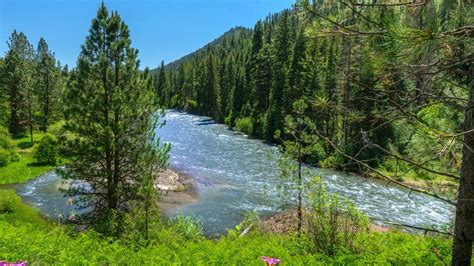 Roseburg angling update on North Umpqua River, Tributaries