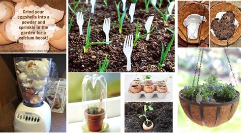 12 Innovative Gardening Ideas You've Never Thought About - Top Dreamer