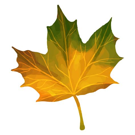 Watercolor Leaf, Autumn leaves clipart 8520847 PNG