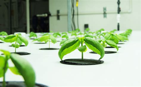 Indoor Harvest Corp CLARA Vertical Farm Project in Texas – Urban Ag News