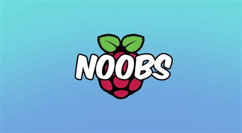 Raspberry Pi NOOBS: How to Set Up, Configure, and Use NOOBS - Howchoo